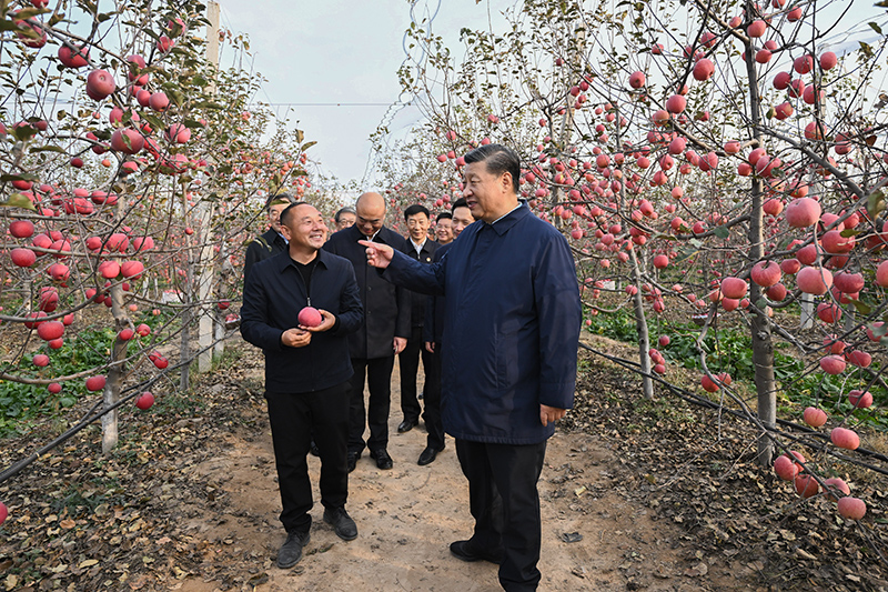 习近平在陕西延安和河南安阳考察时强调  全面推进乡村振兴 为实现农业农村现代化而不懈奋斗