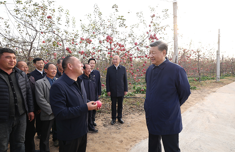 习近平在陕西延安和河南安阳考察时强调  全面推进乡村振兴 为实现农业农村现代化而不懈奋斗