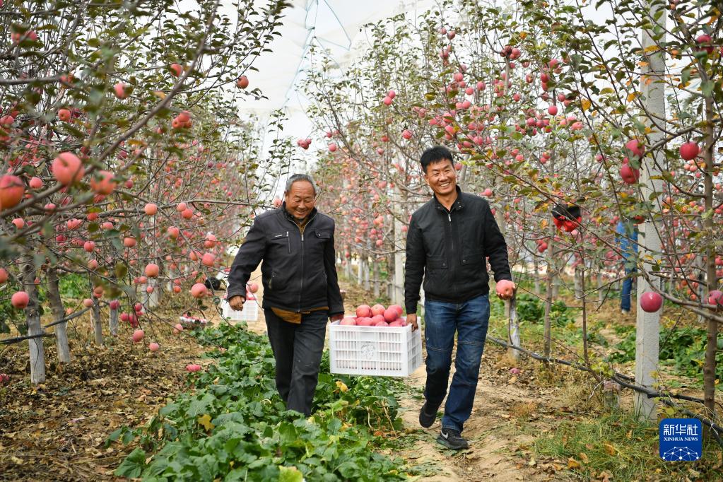 坚定不移走好高质量发展之路——以习近平同志为核心的党中央引领中国经济行稳致远述评