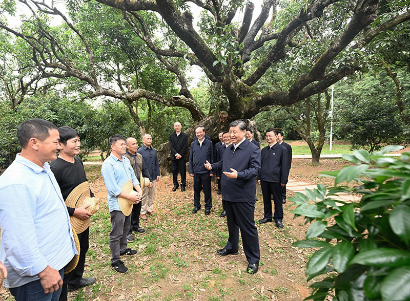 习近平在广东考察时强调 坚定不移全面深化改革扩大高水平对外开放 在推进中国式现代化建设中走在前列