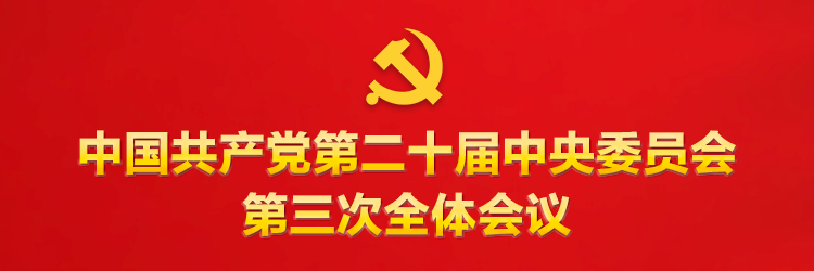 学习贯彻党的二十届三中全会精神中央宣讲团在中央组织部宣讲